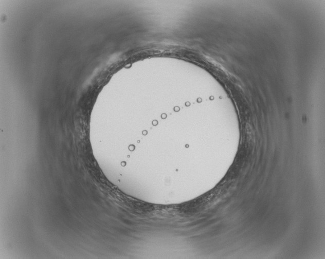 X0000060251447200511181317