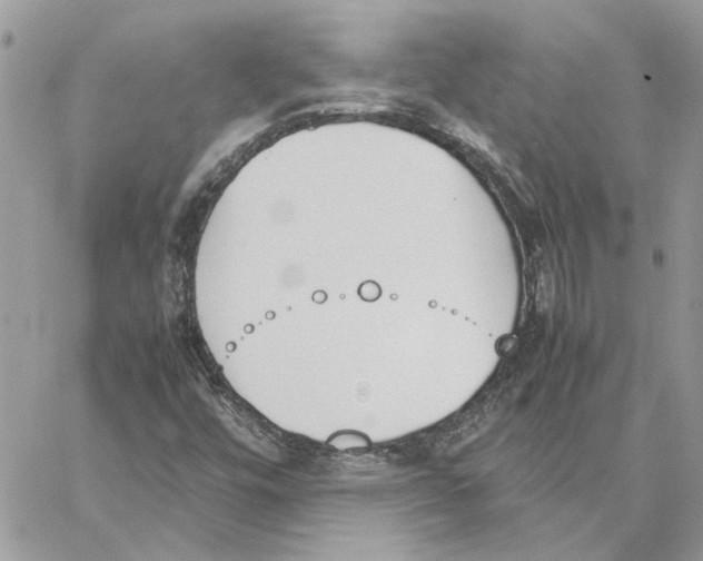 X0000060251448200511181317