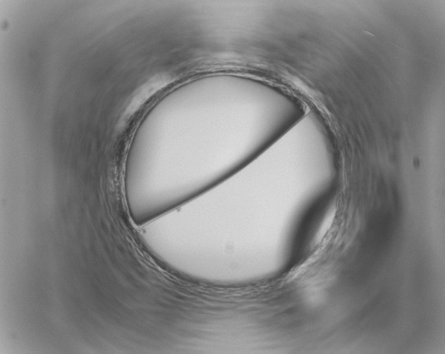 X0000060251453200511181317