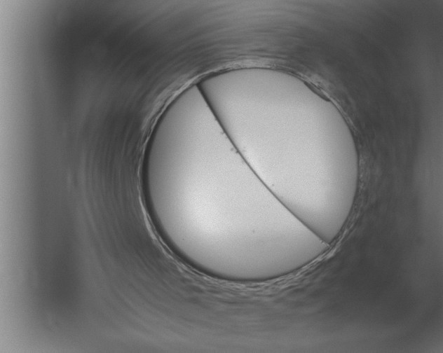 X0000060250001200511241413