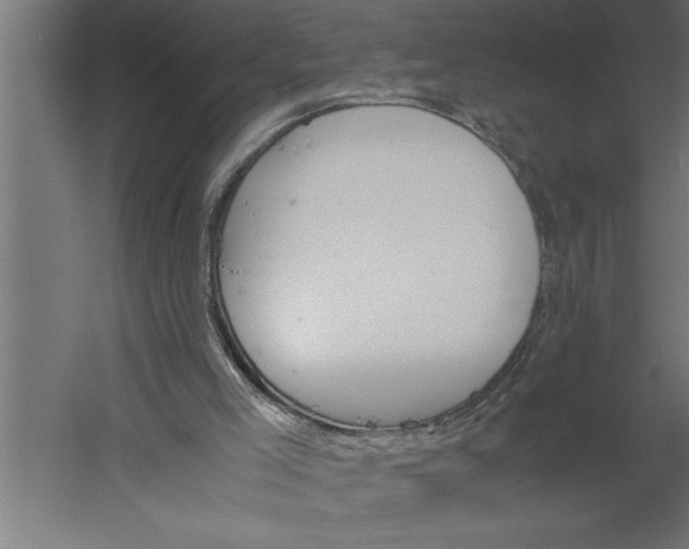 X0000060250005200511241413