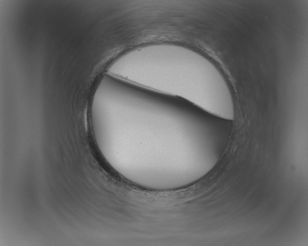 X0000060250019200511241413