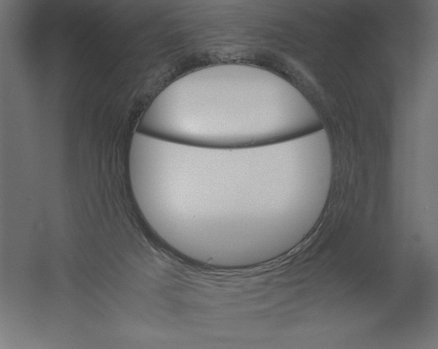 X0000060250025200511241413