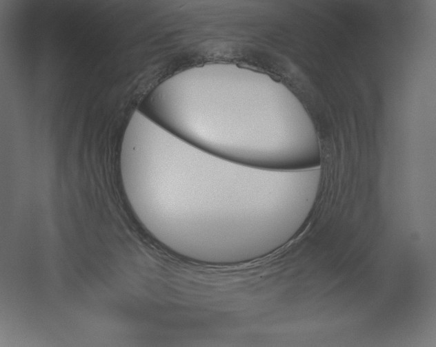 X0000060250029200511241412