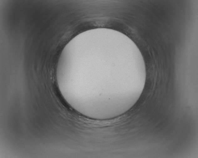 X0000060250031200511241412