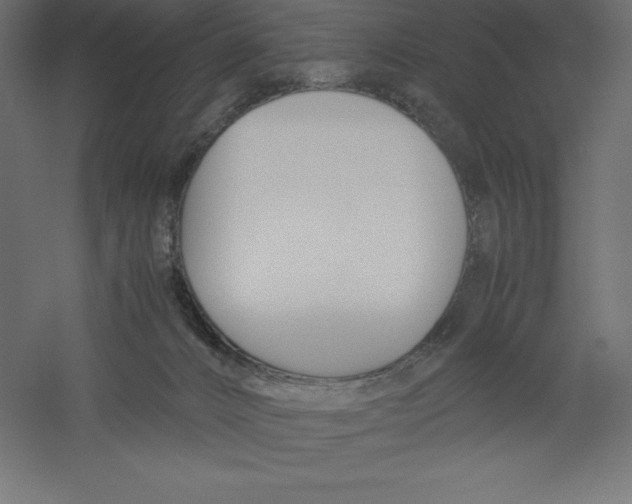 X0000060250032200511241412