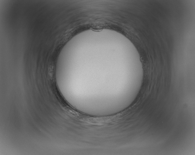 X0000060250033200511241412