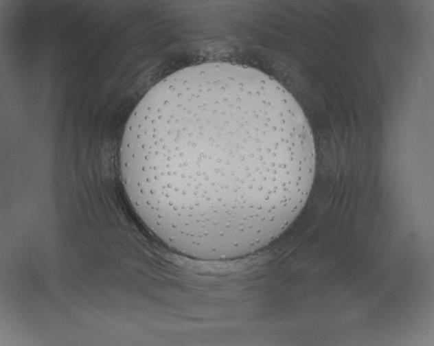 X0000060250034200511241412