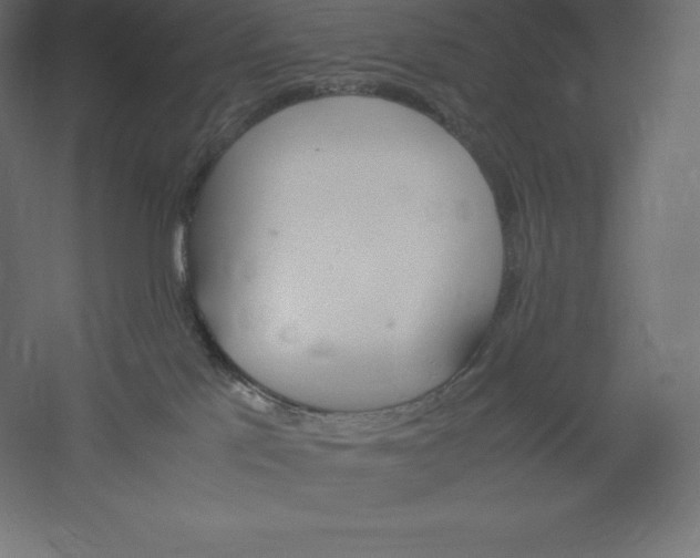 X0000060250041200511241412