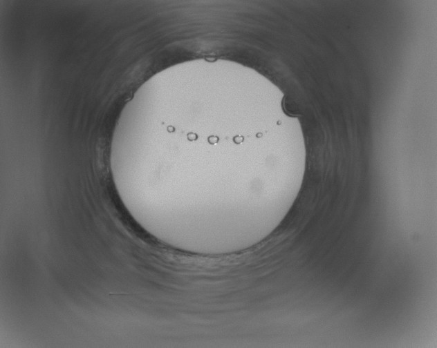 X0000060250044200511241412
