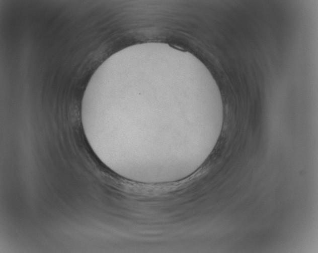 X0000060250048200511241412
