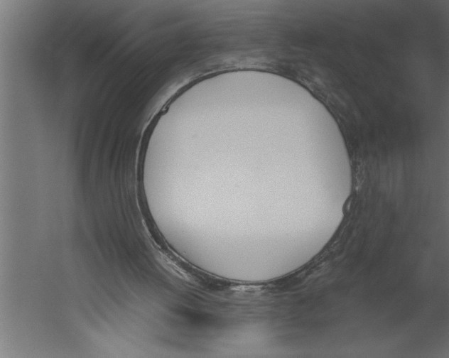 X0000060250052200511241411