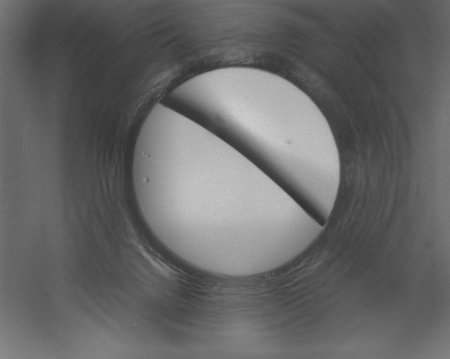 X0000060250072200511241412