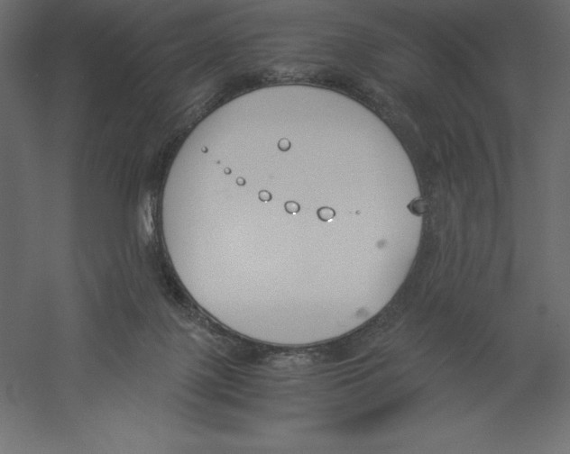 X0000060250075200511241412