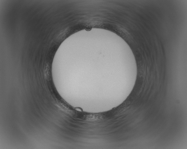 X0000060250077200511241412