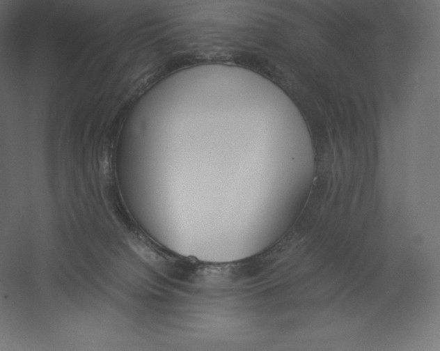 X0000060250084200511241412