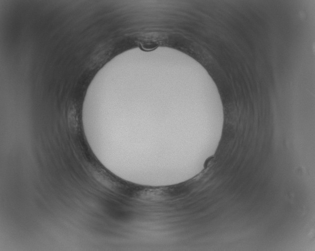 X0000060250086200511241412