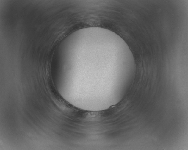 X0000060250088200511241412