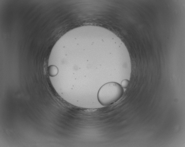 X0000060250090200511241412