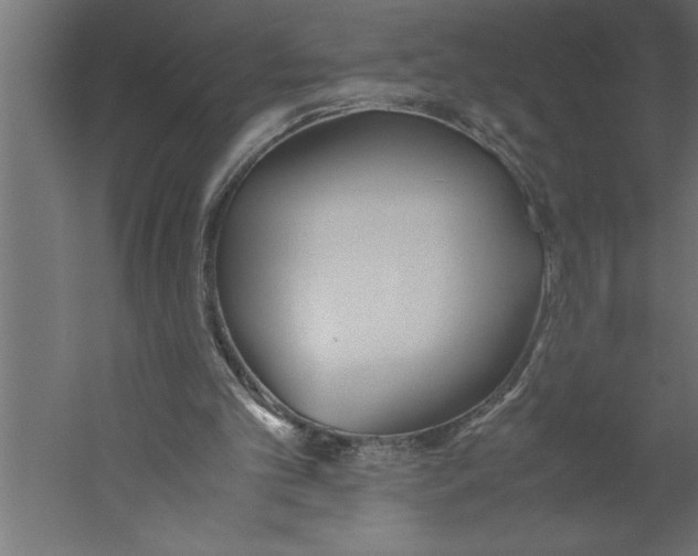 X0000060250101200511241411