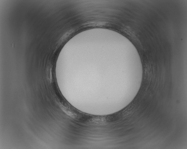 X0000060250110200511241411