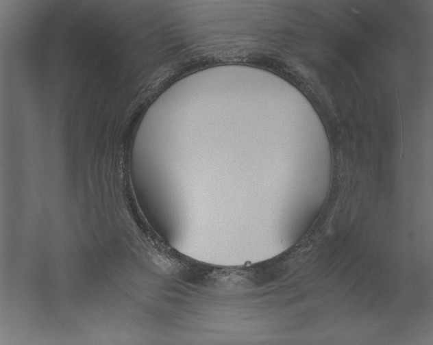 X0000060250113200511241411