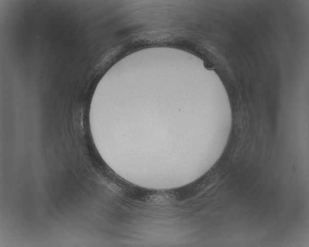 X0000060250115200511241411