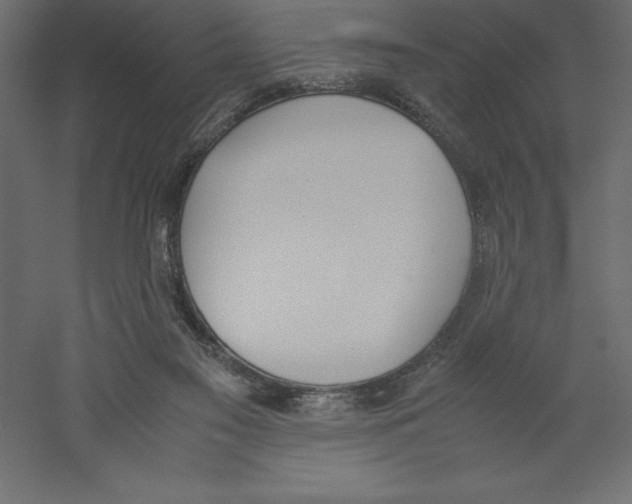 X0000060250117200511241411