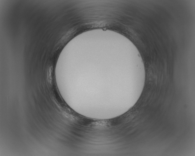X0000060250118200511241411