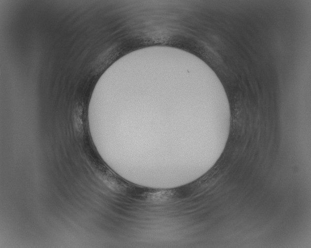 X0000060250122200511241411