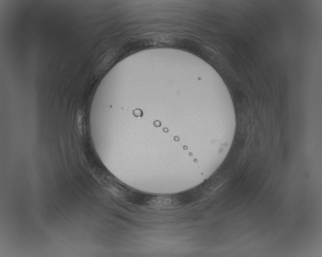 X0000060250123200511241411