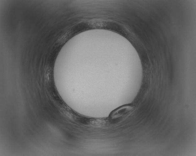 X0000060250125200511241411