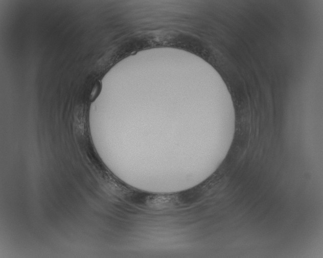 X0000060250129200511241411