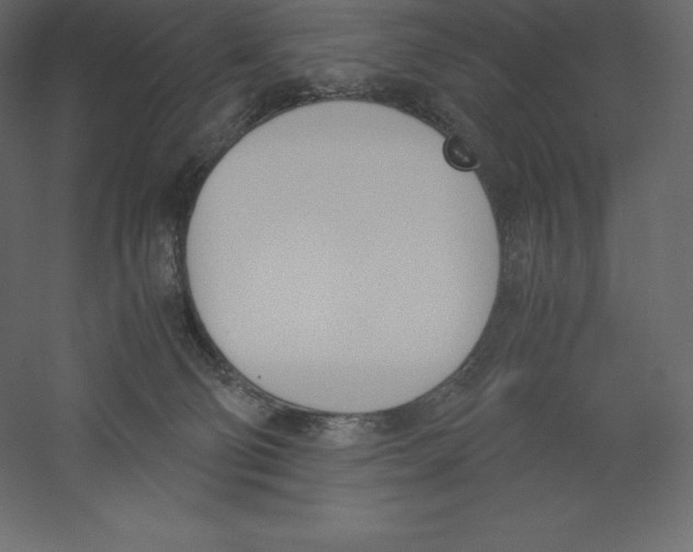X0000060250130200511241411