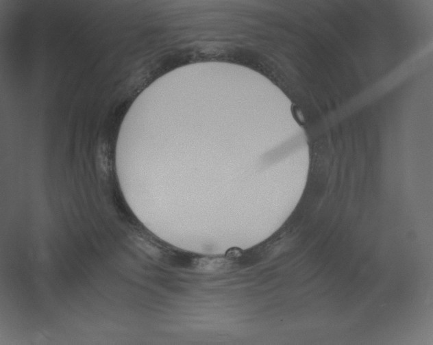 X0000060250135200511241411