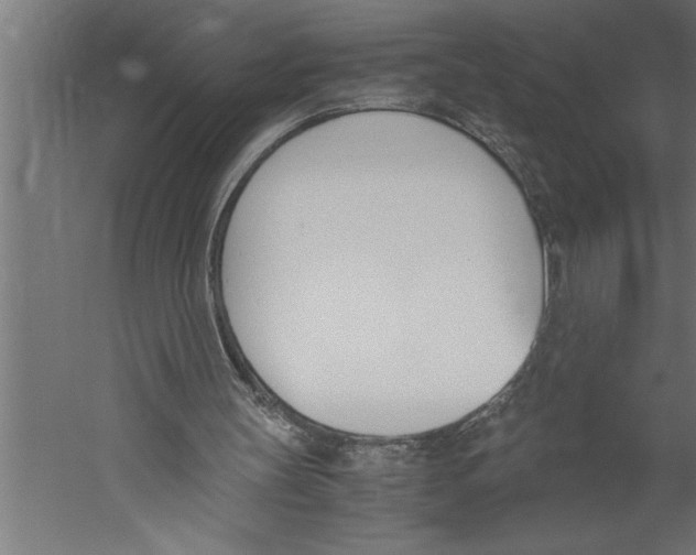 X0000060250147200511241410