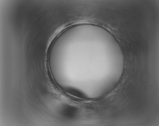X0000060250152200511241410