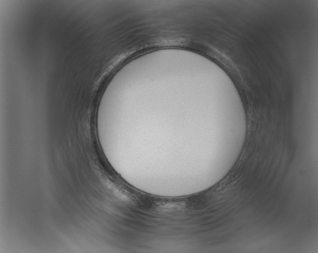 X0000060250155200511241410