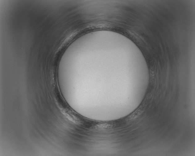 X0000060250158200511241410