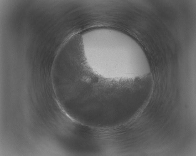 X0000060250159200511241410