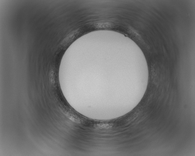 X0000060250161200511241410