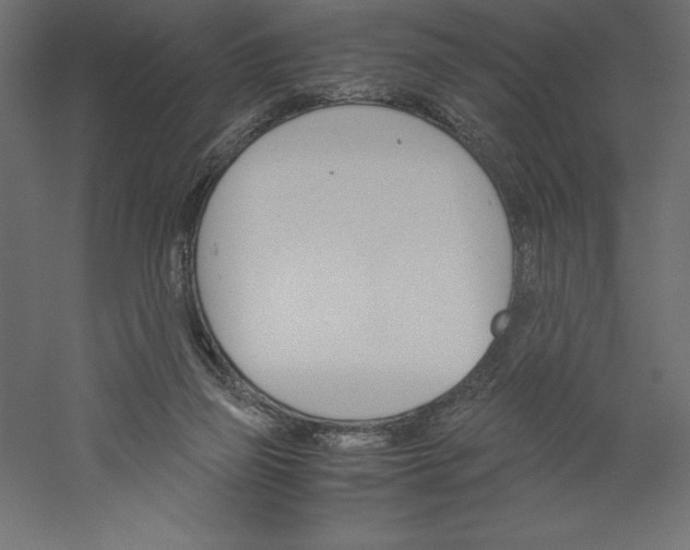 X0000060250165200511241410