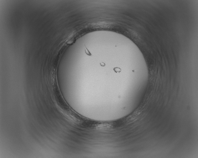 X0000060250168200511241410
