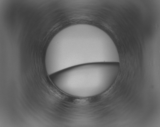 X0000060250170200511241410