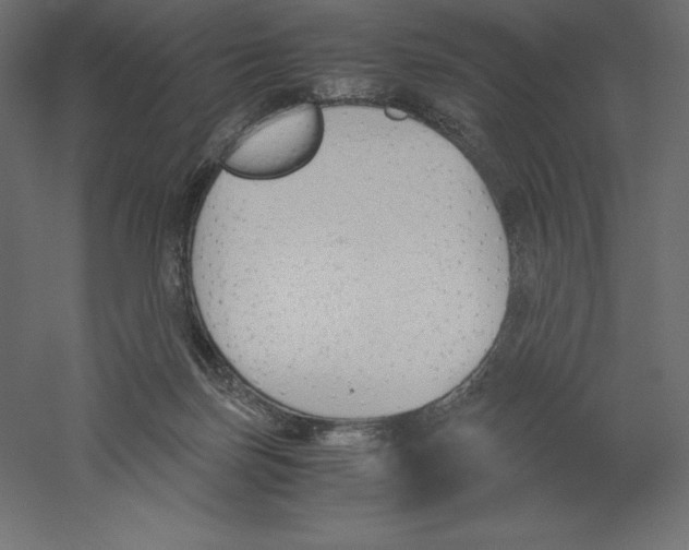 X0000060250171200511241410