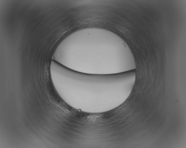 X0000060250172200511241410