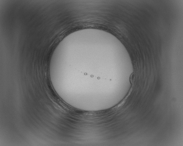 X0000060250174200511241410