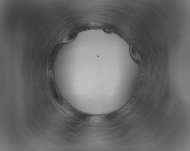 X0000060250176200511241410