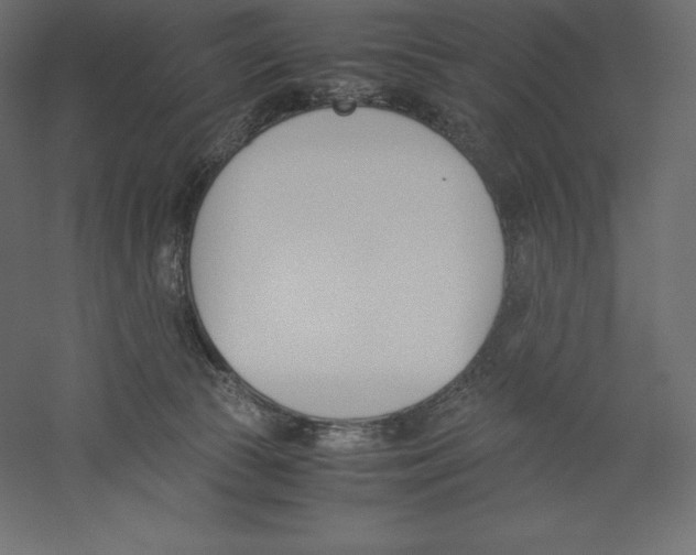 X0000060250177200511241410