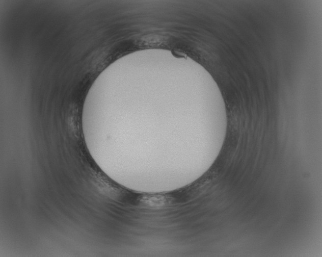 X0000060250181200511241410